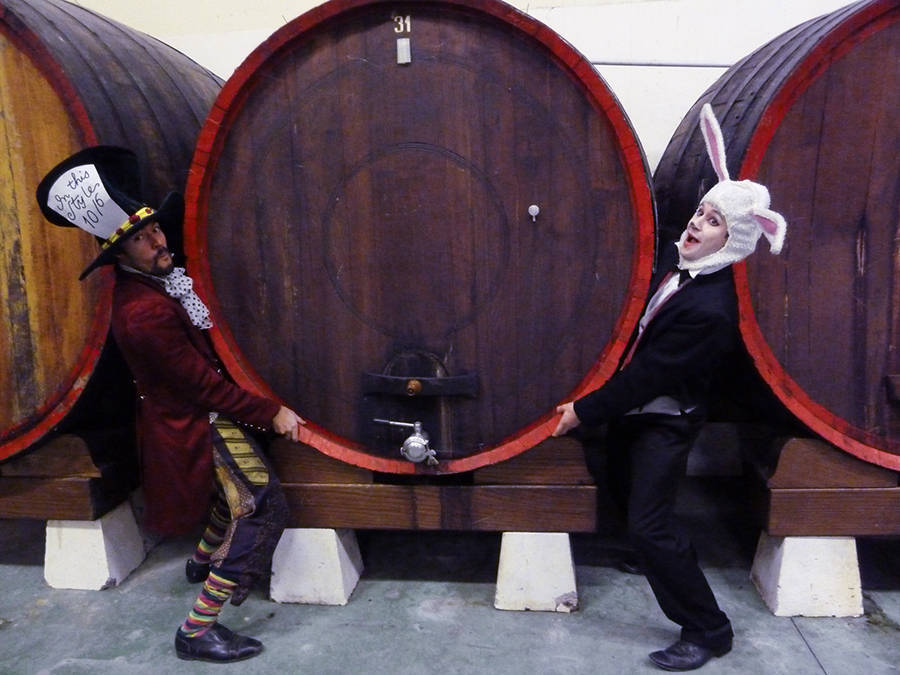 top team facchin 141